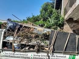 Best Recycling Services for Junk  in Altamonte Springs, FL